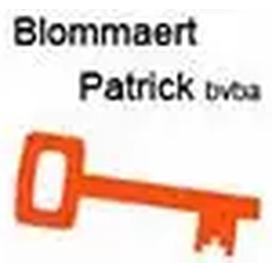Patrick Blommaert